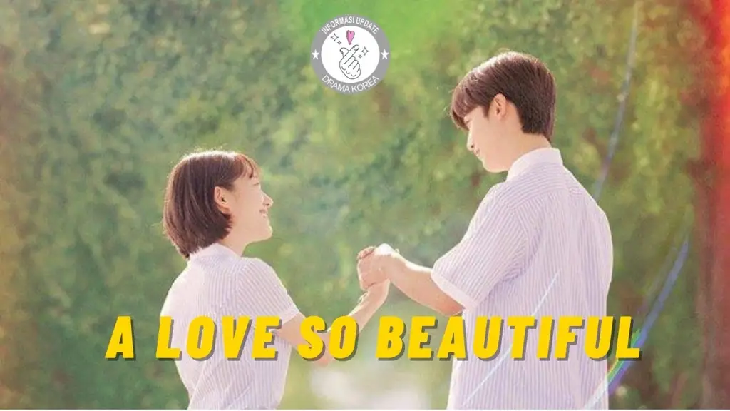 Poster drama Korea A Love So Beautiful