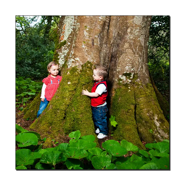 Anak-anak bermain di hutan