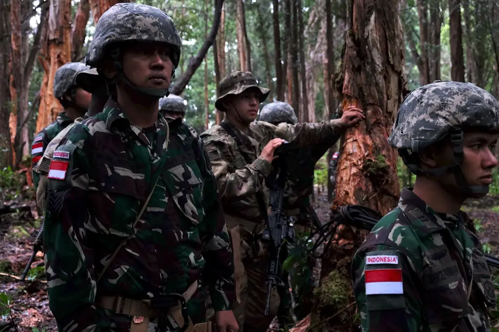 Gambar anggota TNI dalam seragam