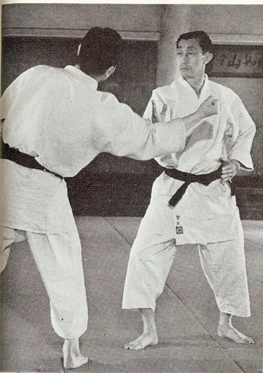 Foto Anzai Sensei sedang berlatih Aikido