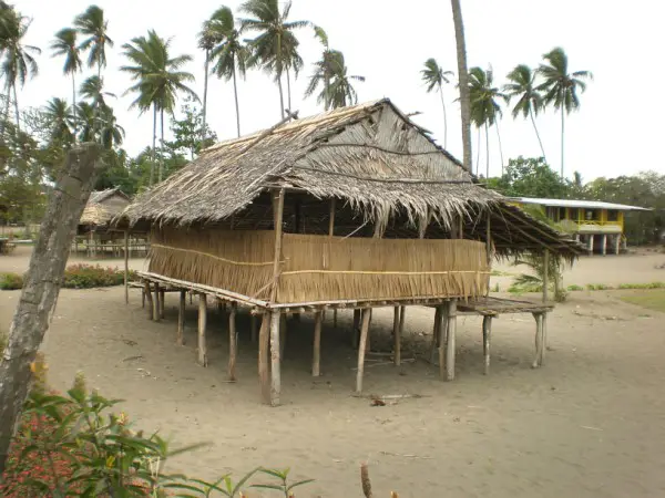 Rumah adat Papua