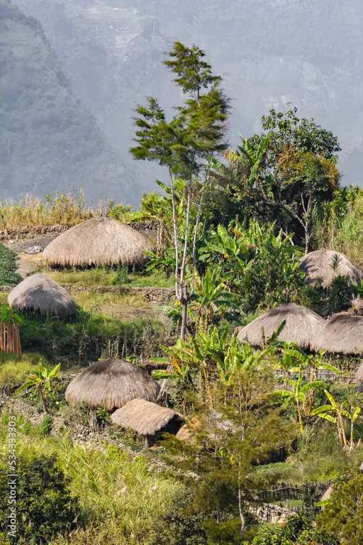 Rumah adat Wamena yang unik