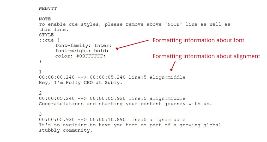 Berbagai format file subtitle yang ditampilkan pada layar komputer.