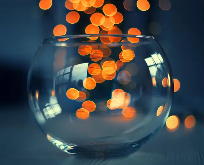 Contoh fotografi bokeh