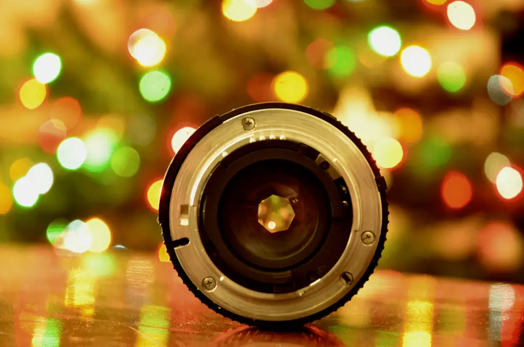 Contoh-contoh fotografi bokeh