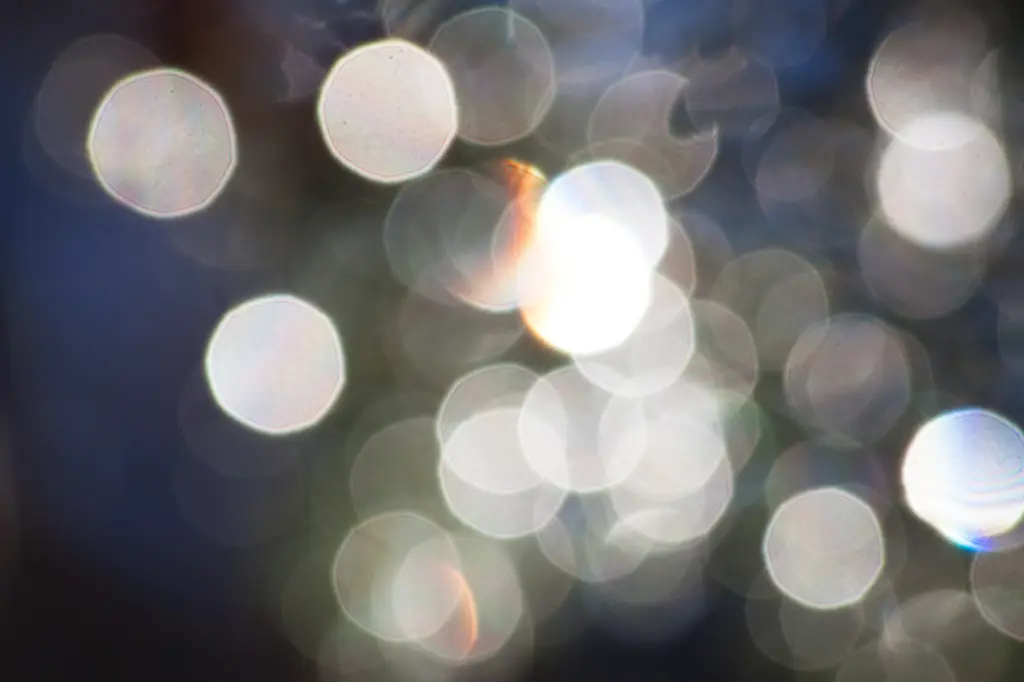 Contoh foto makro dengan efek bokeh