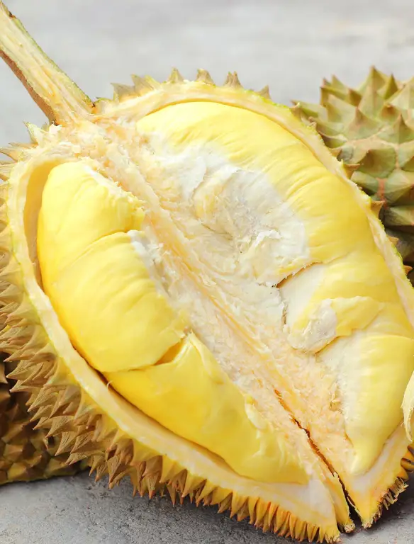 Buah durian