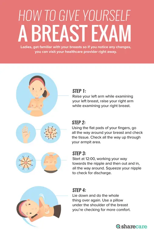 Infografis pemeriksaan payudara sendiri
