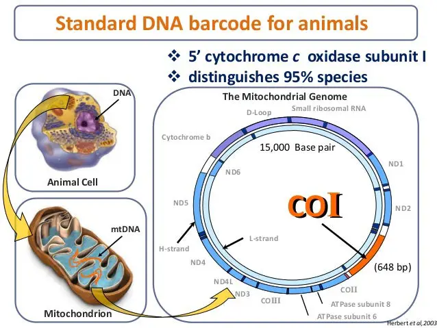 Gambar barcode dengan kode ADN 165