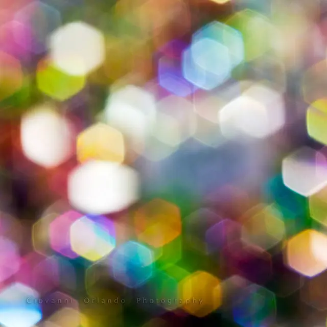 Contoh Fotografi Bokeh yang Indah