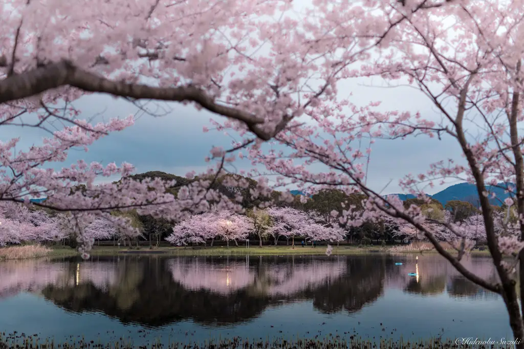 Fotografi lanskap Jepang yang menakjubkan