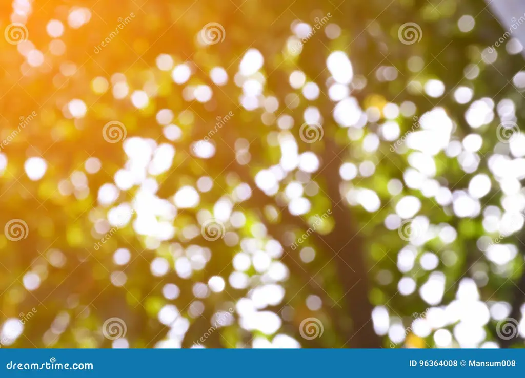 Latar belakang bokeh yang indah