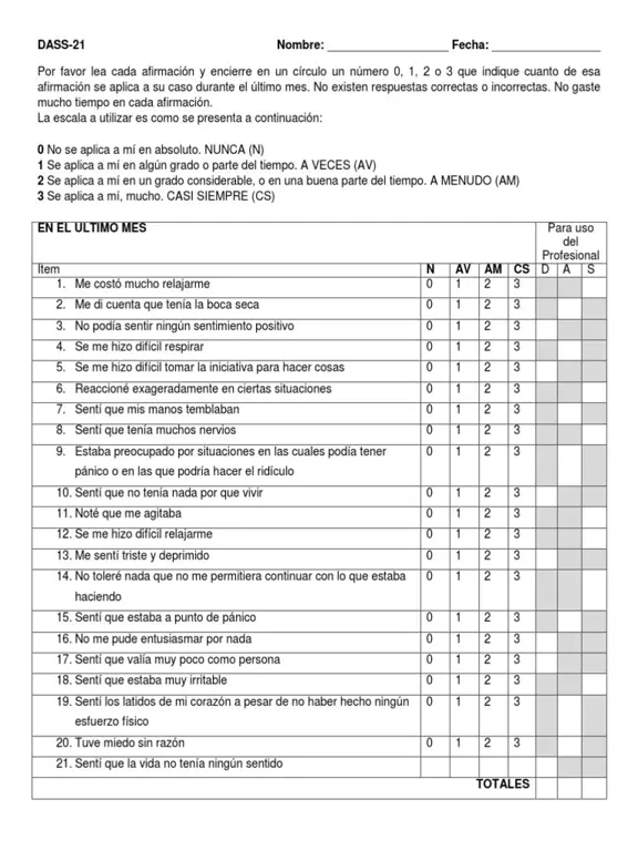 Contoh kuesioner DASS-21