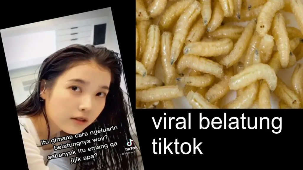 Gambar terkait video viral belatung