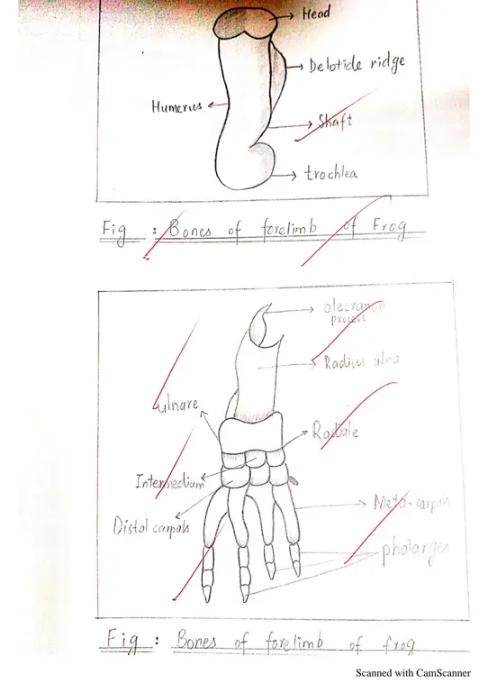 Diagram venx-089