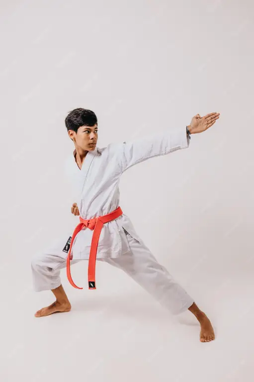 Seorang karateka sedang berlatih dengan serius