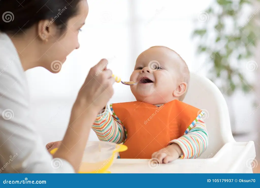 Ibu memberi makan bayi makanan sehat