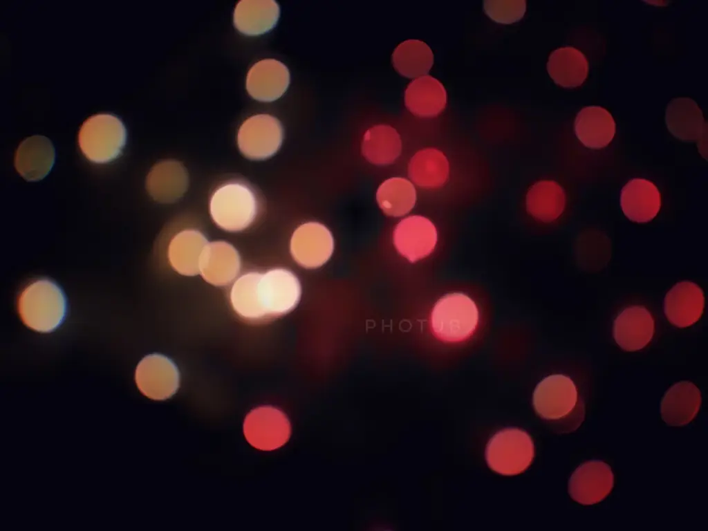 Gambar contoh efek bokeh dalam fotografi