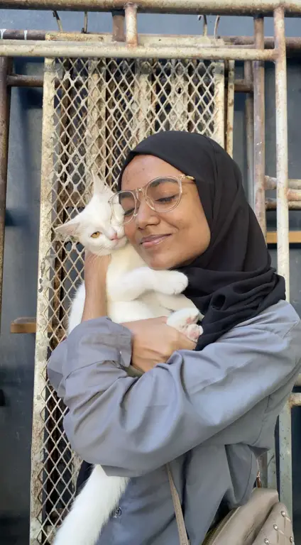 Kucing lucu dengan berbagai gaya hijab