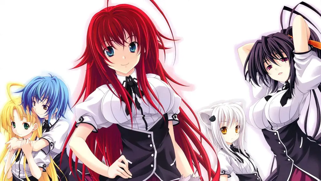 Ilustrasi fanart Highschool DxD