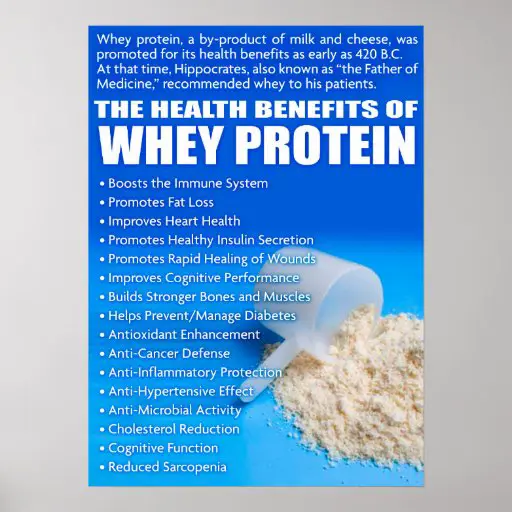 Manfaat protein whey untuk kesehatan