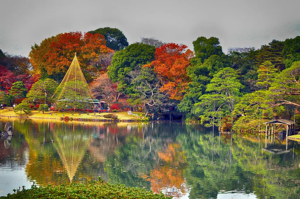 Pemandangan taman Jepang yang indah