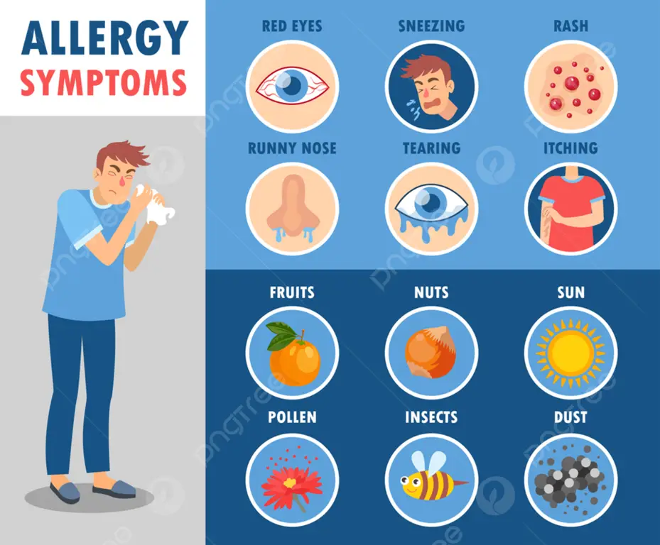 Gambar gejala alergi seperti hidung berair dan bersin