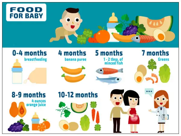 Grafik nutrisi makanan bayi