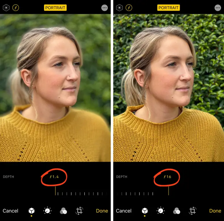 Contoh Fotografi dengan Efek Bokeh