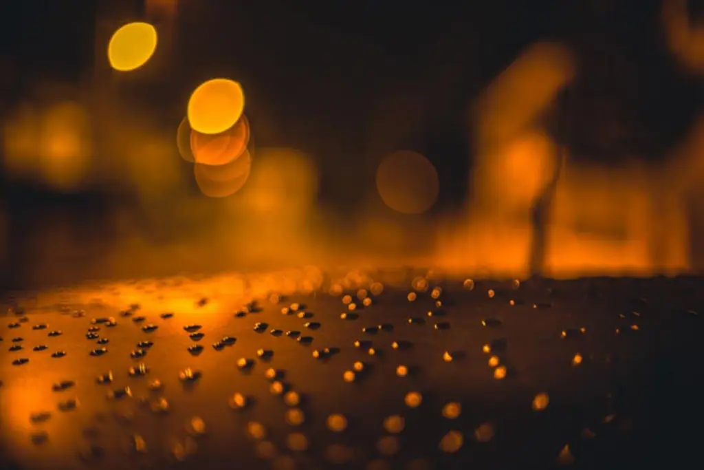 Contoh Foto dengan Efek Bokeh