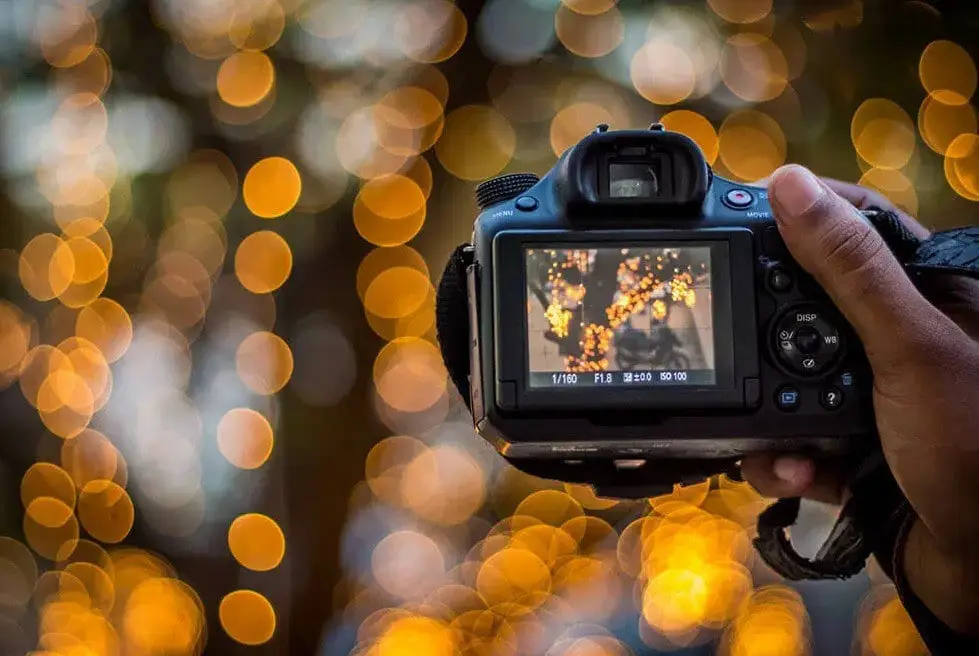 Contoh efek bokeh pada gambar dan video