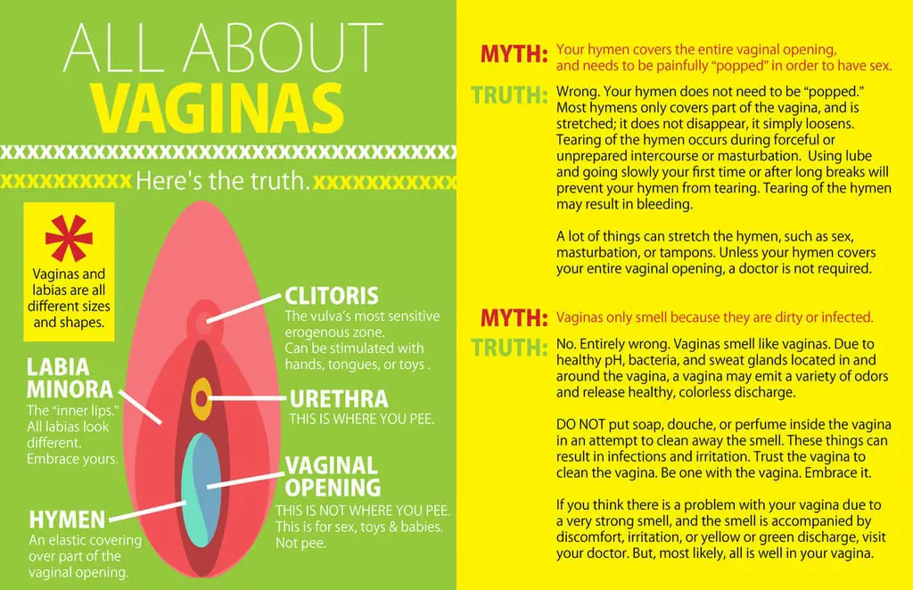 infografis tentang kesehatan vagina