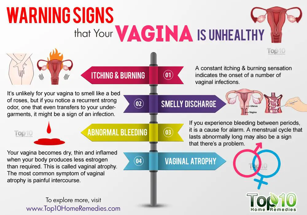 Infografis tentang kesehatan vagina