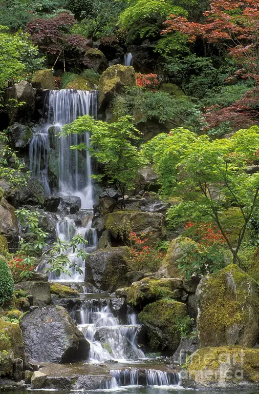 Taman Jepang yang indah