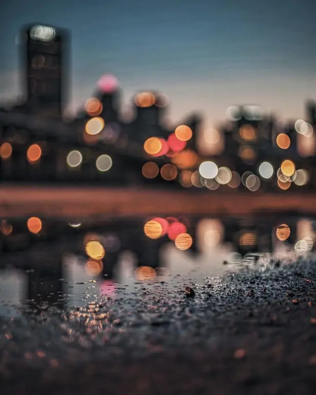 Berbagai contoh foto dengan efek bokeh yang artistik