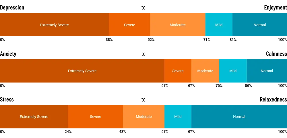 Grafik interpretasi skor DASS-473