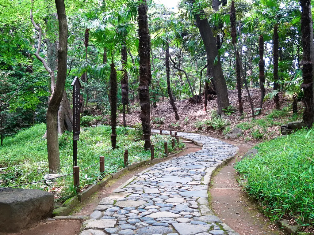 Jalan setapak di hutan Jepang