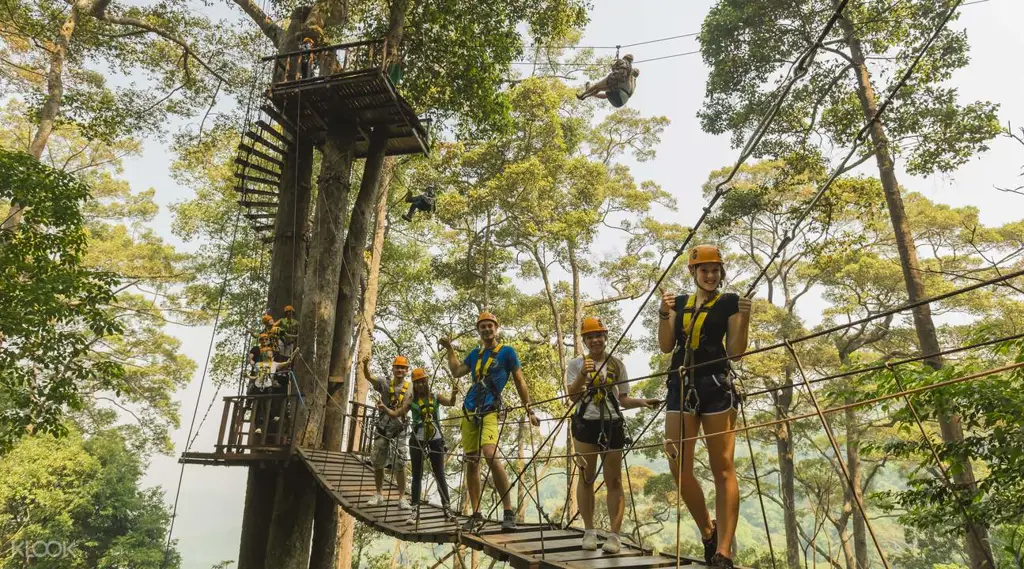 Petualangan seru di hutan