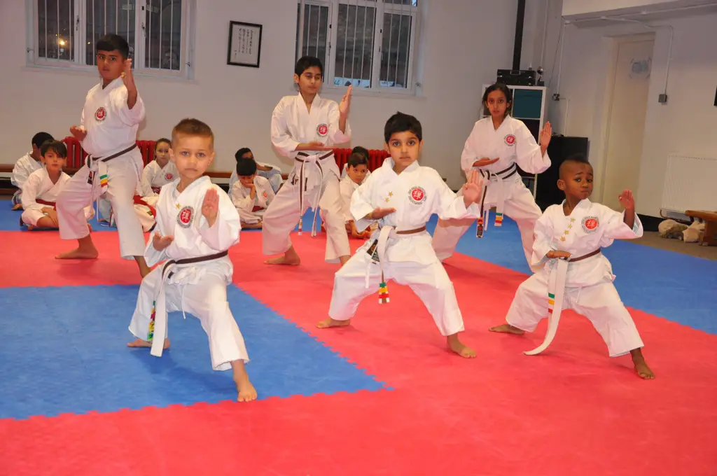 Anak-anak belajar karate dengan gembira