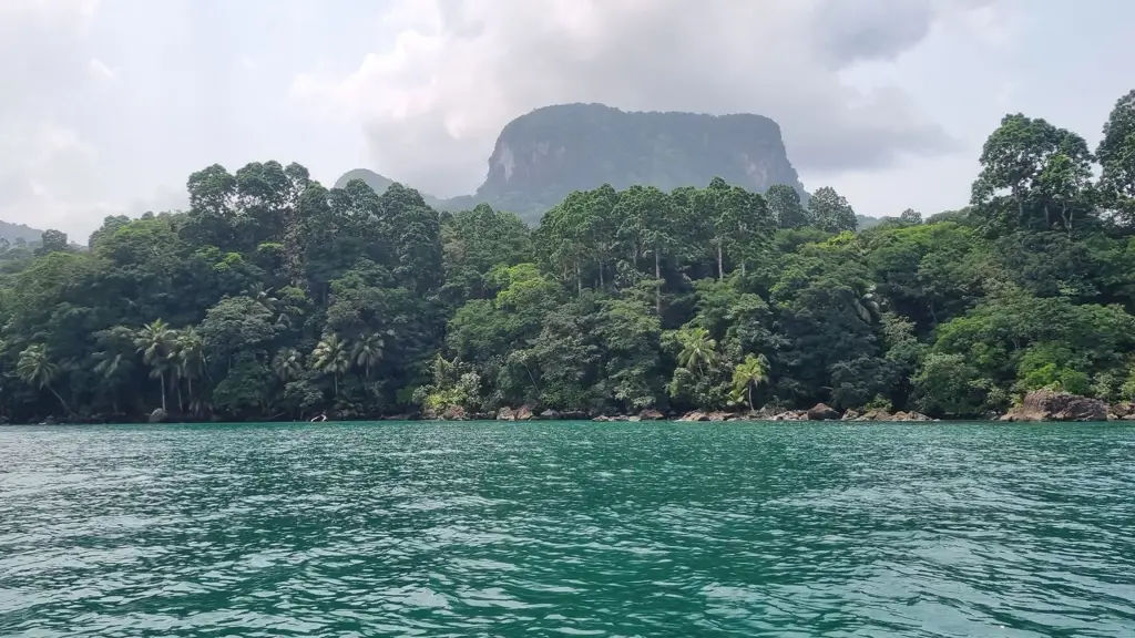 Kehidupan bawah laut di Sao Tome dan Principe