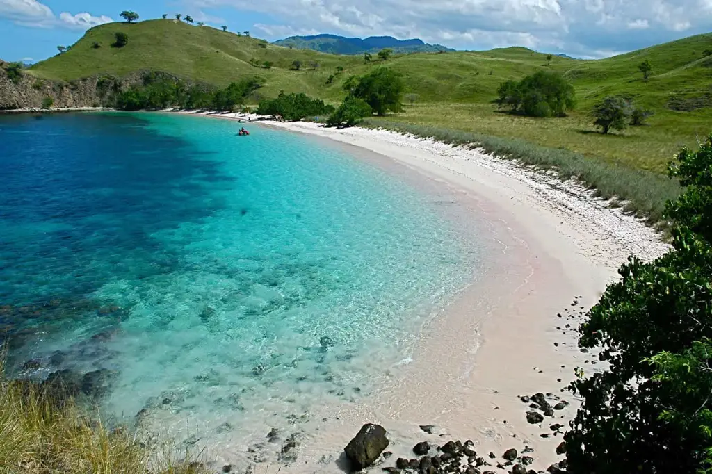 Berbagai jenis pantai di Indonesia