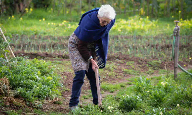 Orang tua berkebun bersama