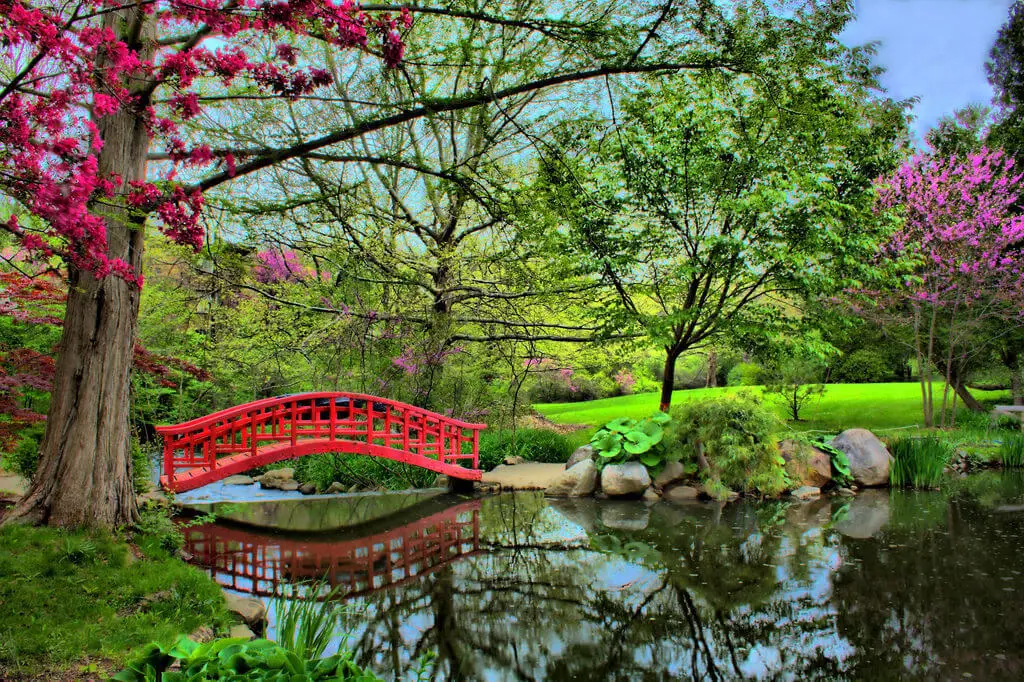 Gambar taman Jepang yang indah