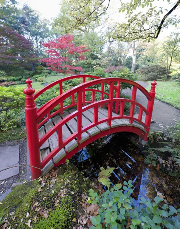 Foto taman Jepang yang indah dan tenang