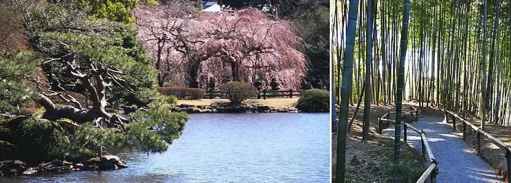 Taman tradisional Jepang yang indah dan damai