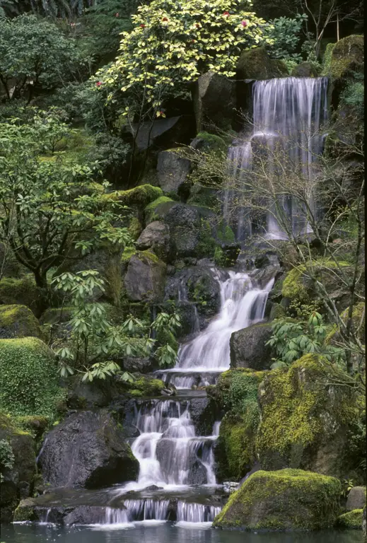 Gambar taman tradisional Jepang yang indah