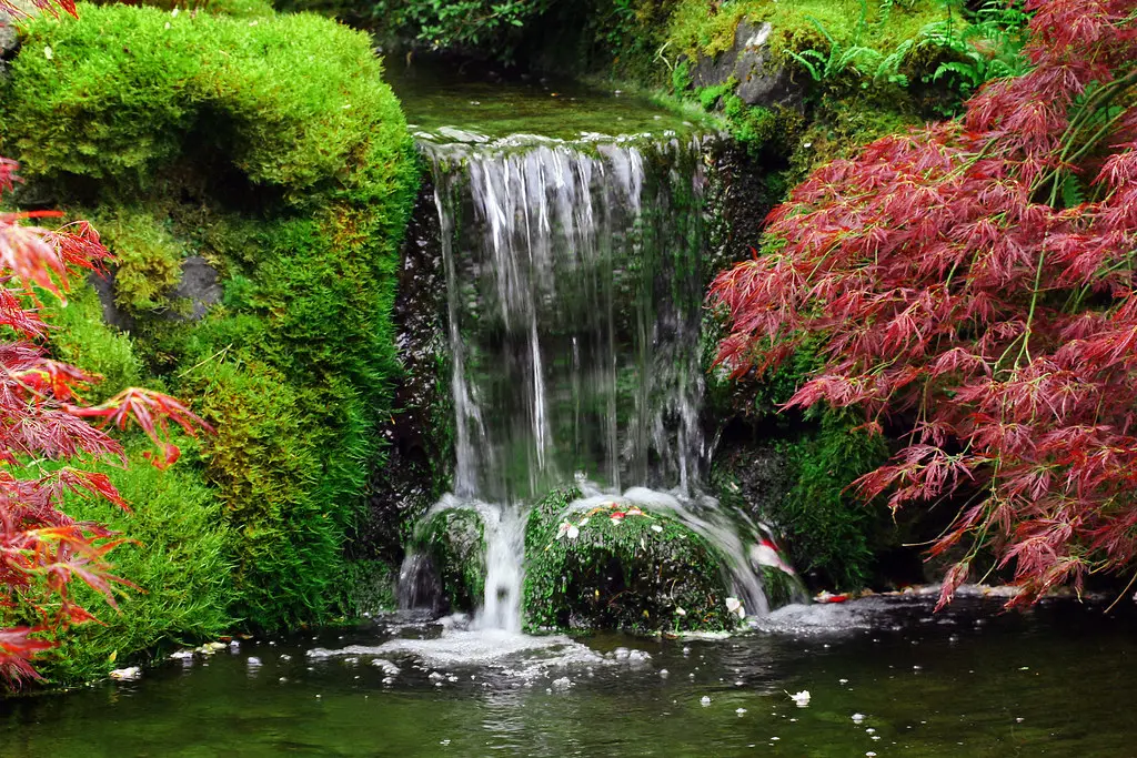 Taman Jepang yang tenang dan damai