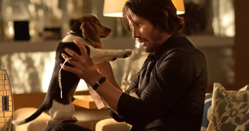 Anjing John Wick yang setia