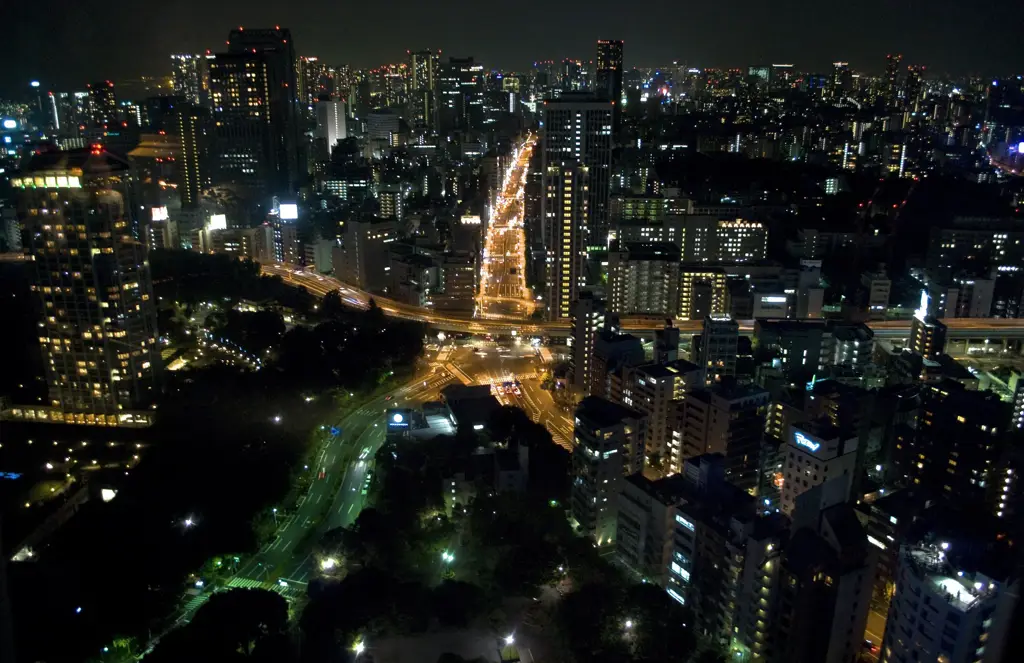 Pemandangan kota Jepang di malam hari