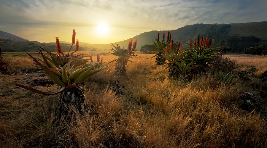 Foto lanskap Afrika yang menakjubkan